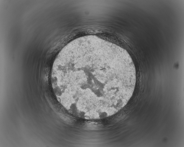 X0000114650315200912011118