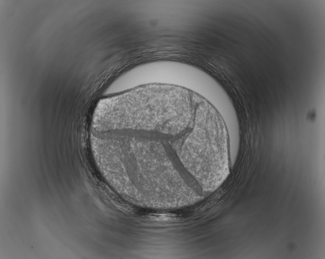 X0000114650316200912011118