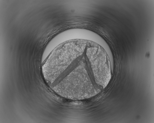 X0000114650317200912011118