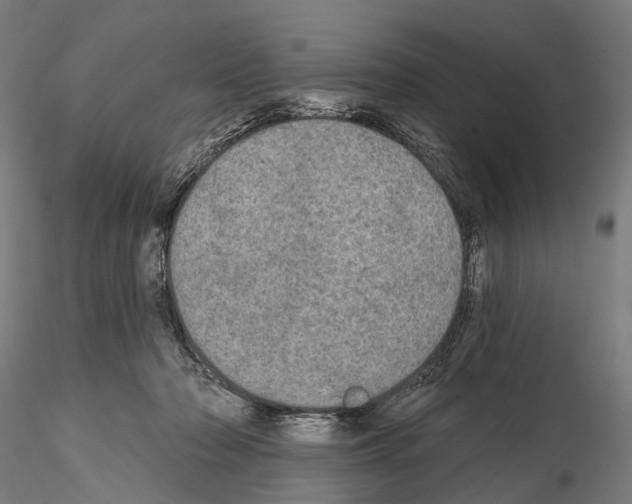 X0000114650318200912011118