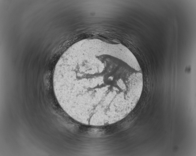 X0000114650319200912011118