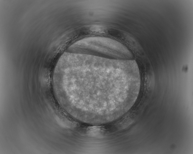 X0000114650320200912011118