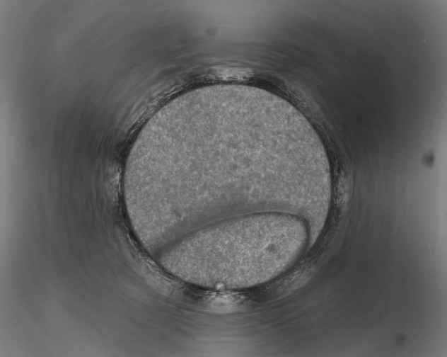 X0000114650321200912011118