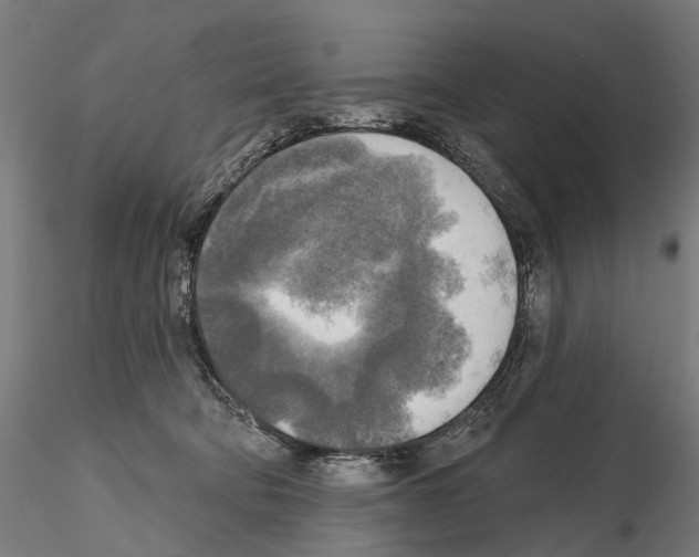 X0000114650322200912011118