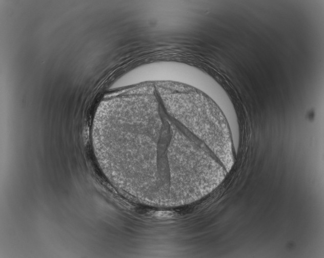 X0000114650324200912011118