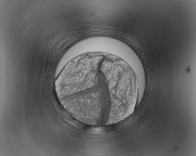 X0000114650325200912011118