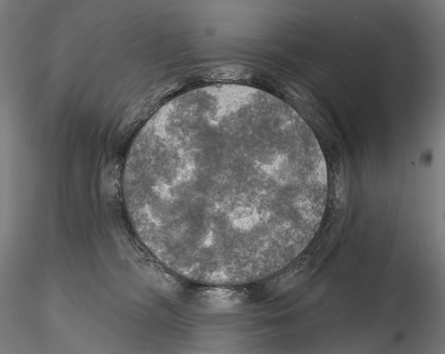 X0000114650326200912011118