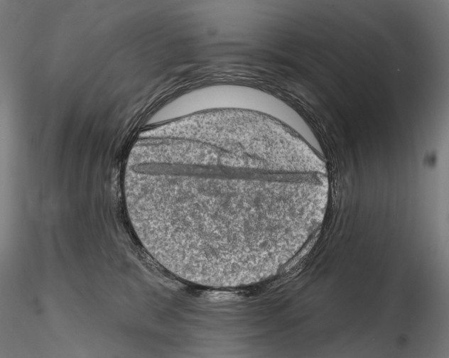 X0000114650327200912011118