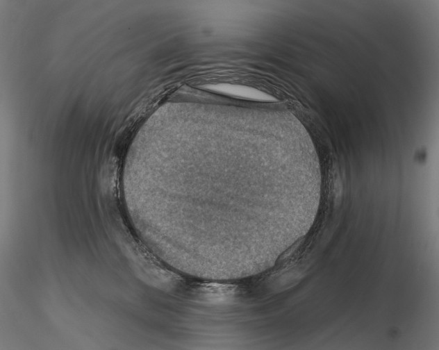 X0000114650328200912011118