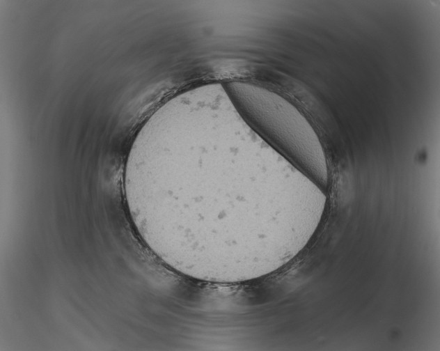 X0000114650329200912011118