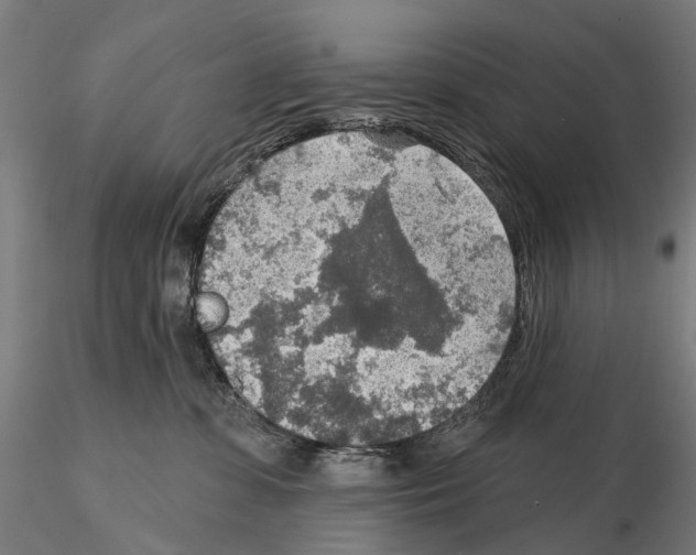 X0000114650331200912011118