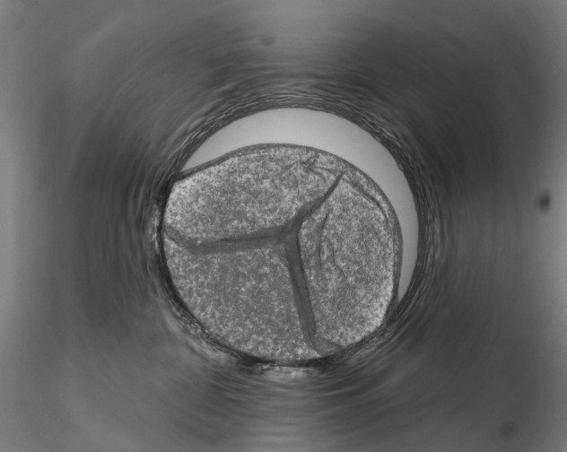 X0000114650332200912011118