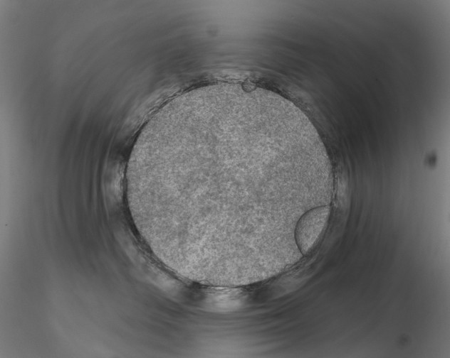 X0000114650334200912011118