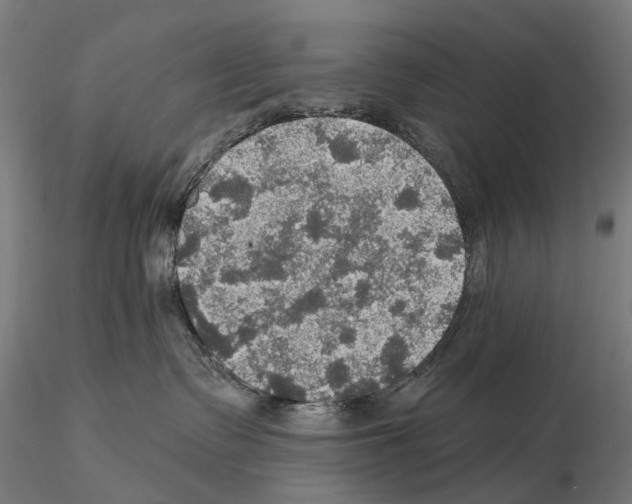 X0000114650335200912011118