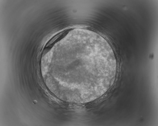 X0000114650337200912011117