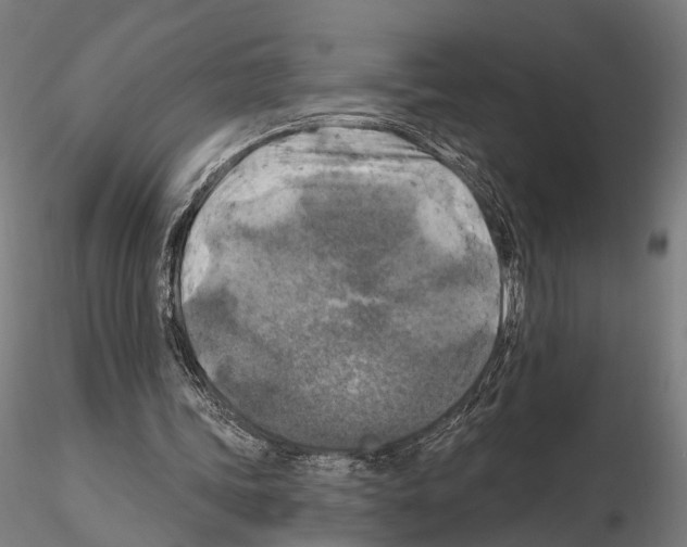 X0000114650339200912011117