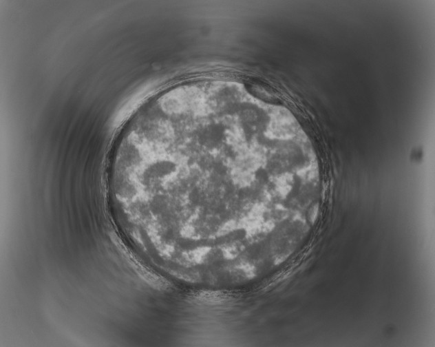 X0000114650341200912011117