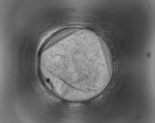 X0000114650342200912011117