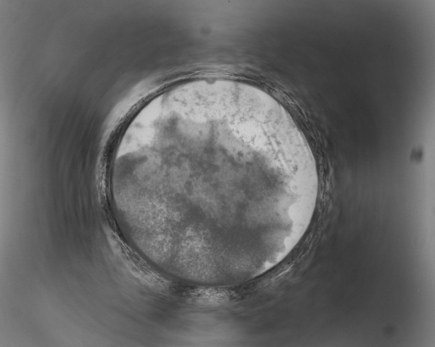 X0000114650343200912011117