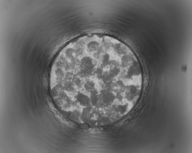 X0000114650345200912011117