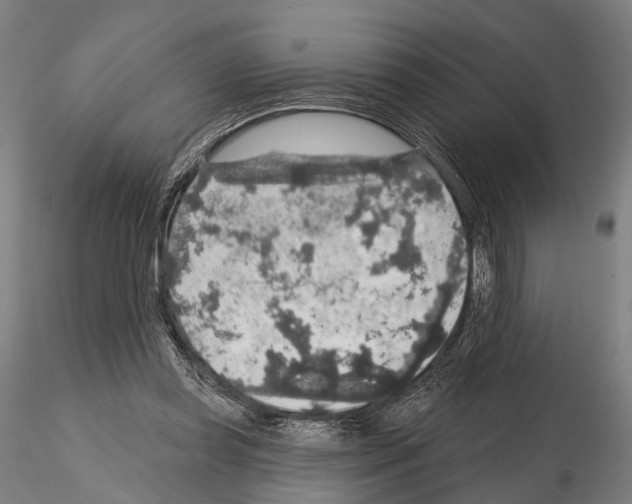 X0000114650349200912011117