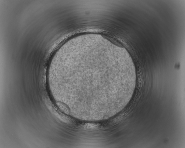 X0000114650350200912011117