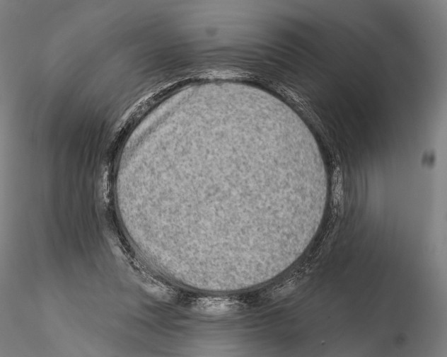 X0000114650351200912011117