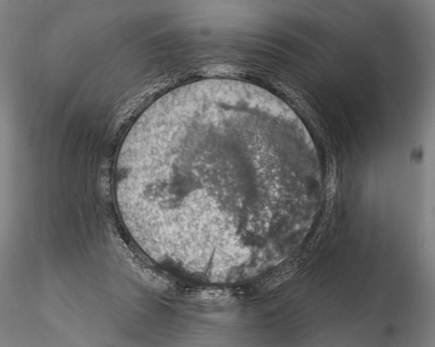 X0000114650353200912011117