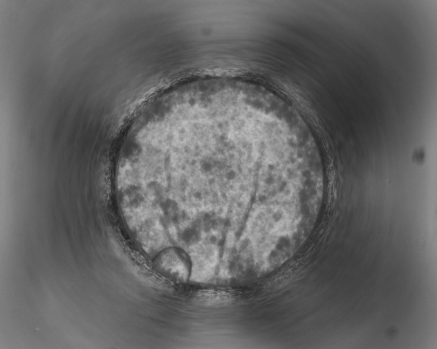 X0000114650354200912011117