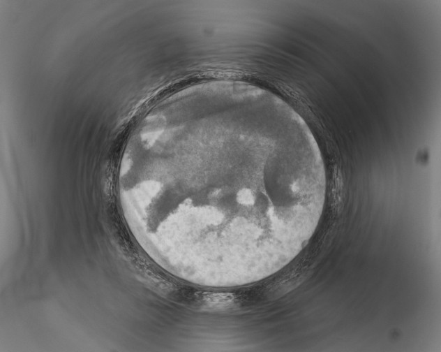 X0000114650355200912011117