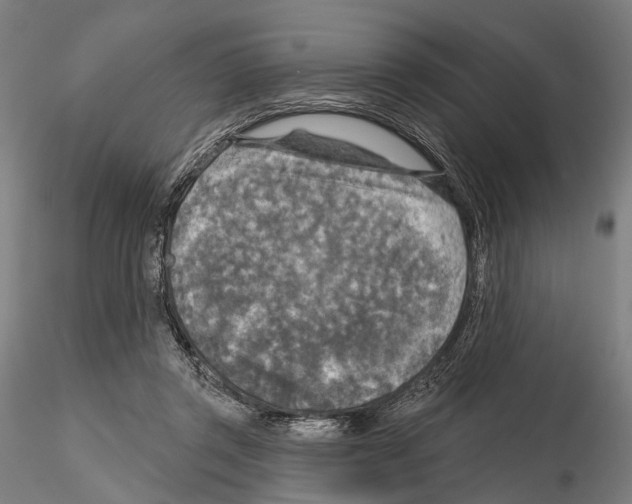 X0000114650357200912011117