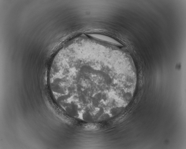 X0000114650358200912011117