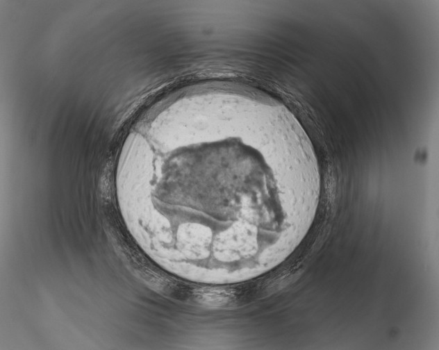 X0000114650359200912011117