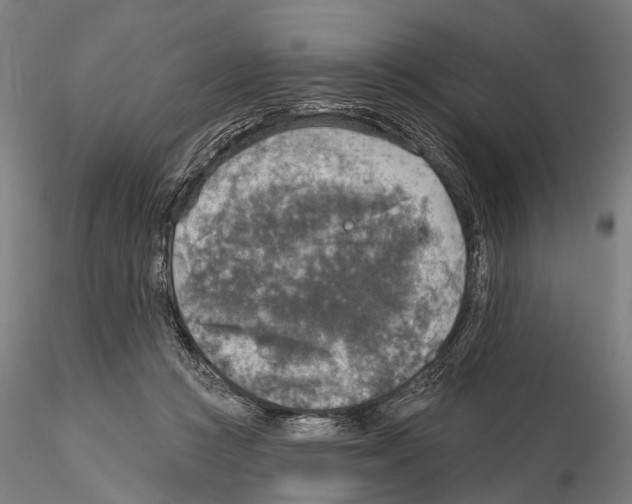 X0000114650361200912011117