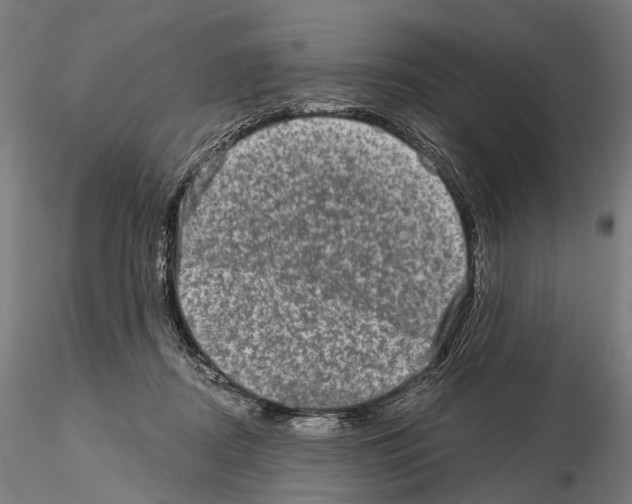 X0000114650362200912011117