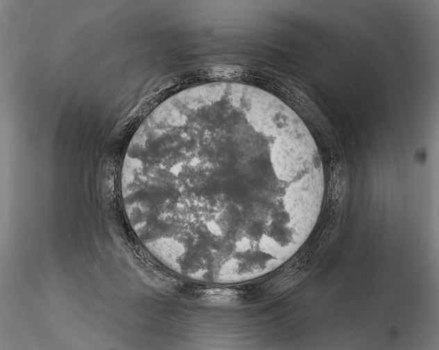 X0000114650363200912011117