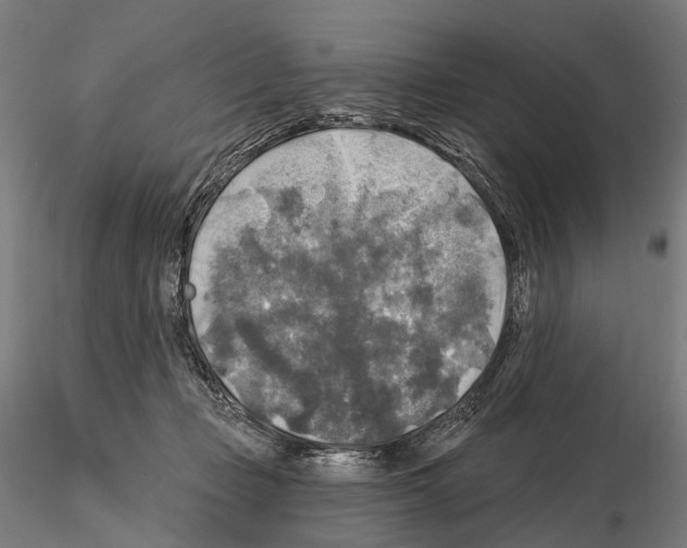 X0000114650365200912011117