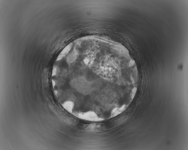 X0000114650366200912011117