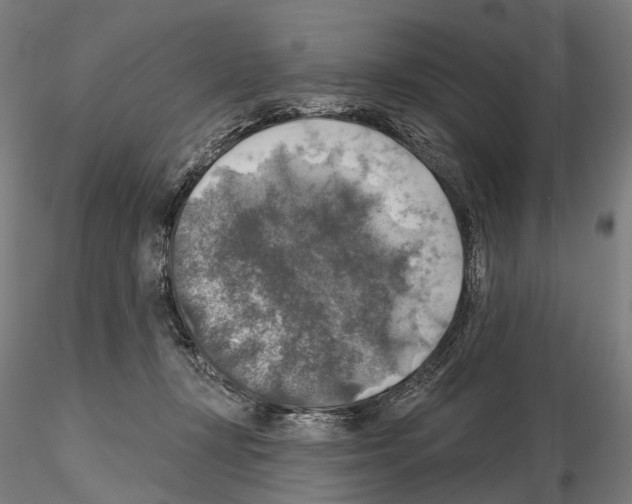 X0000114650367200912011118