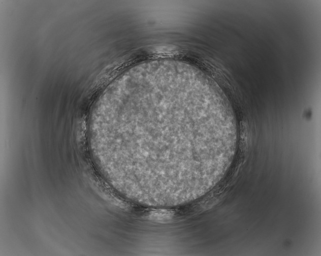 X0000114650369200912011118