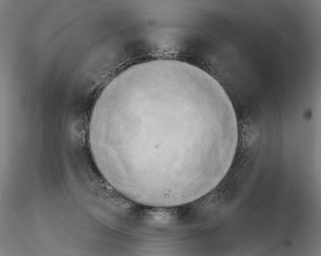 X0000114650370200912011118