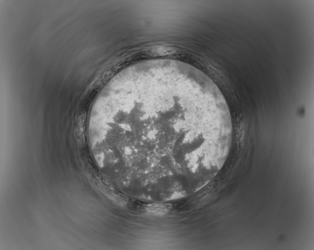 X0000114650373200912011118