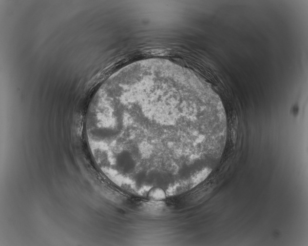 X0000114650374200912011118