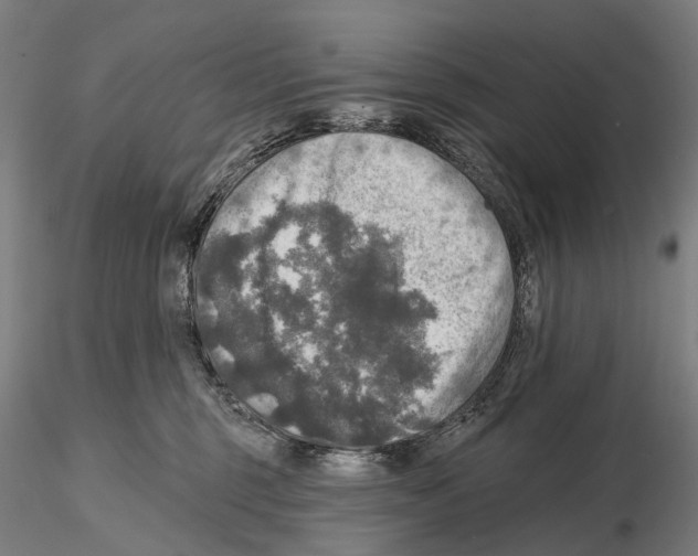 X0000114650375200912011118