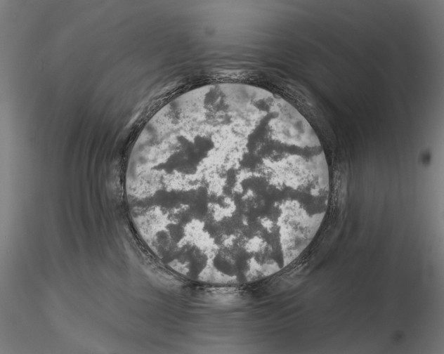 X0000114650377200912011118