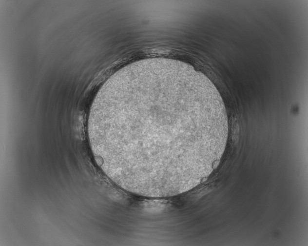 X0000114650378200912011118