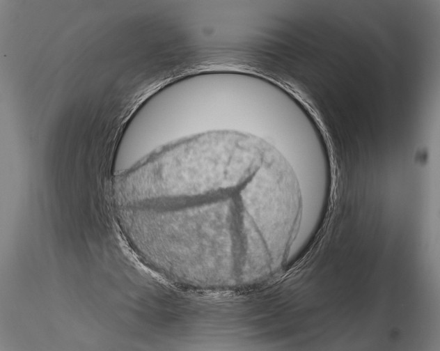 X0000114650385200912011117