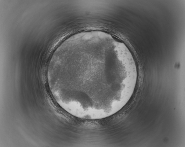 X0000114650386200912011117