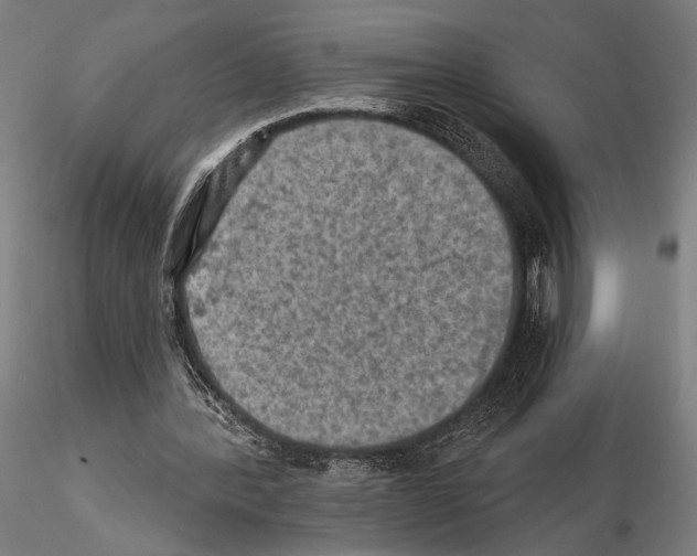 X0000114650388200912011117