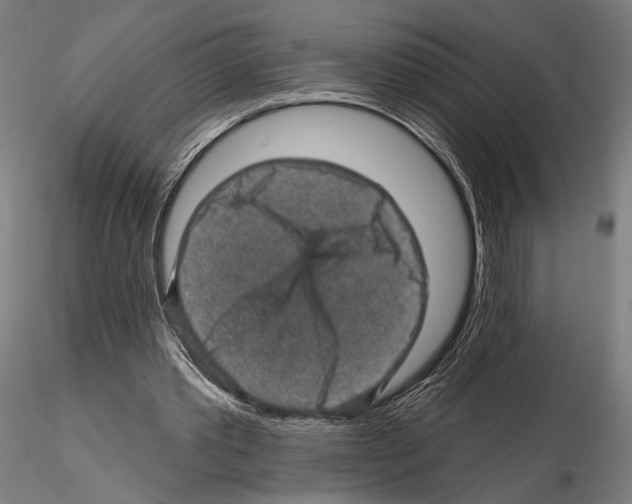 X0000114650389200912011117